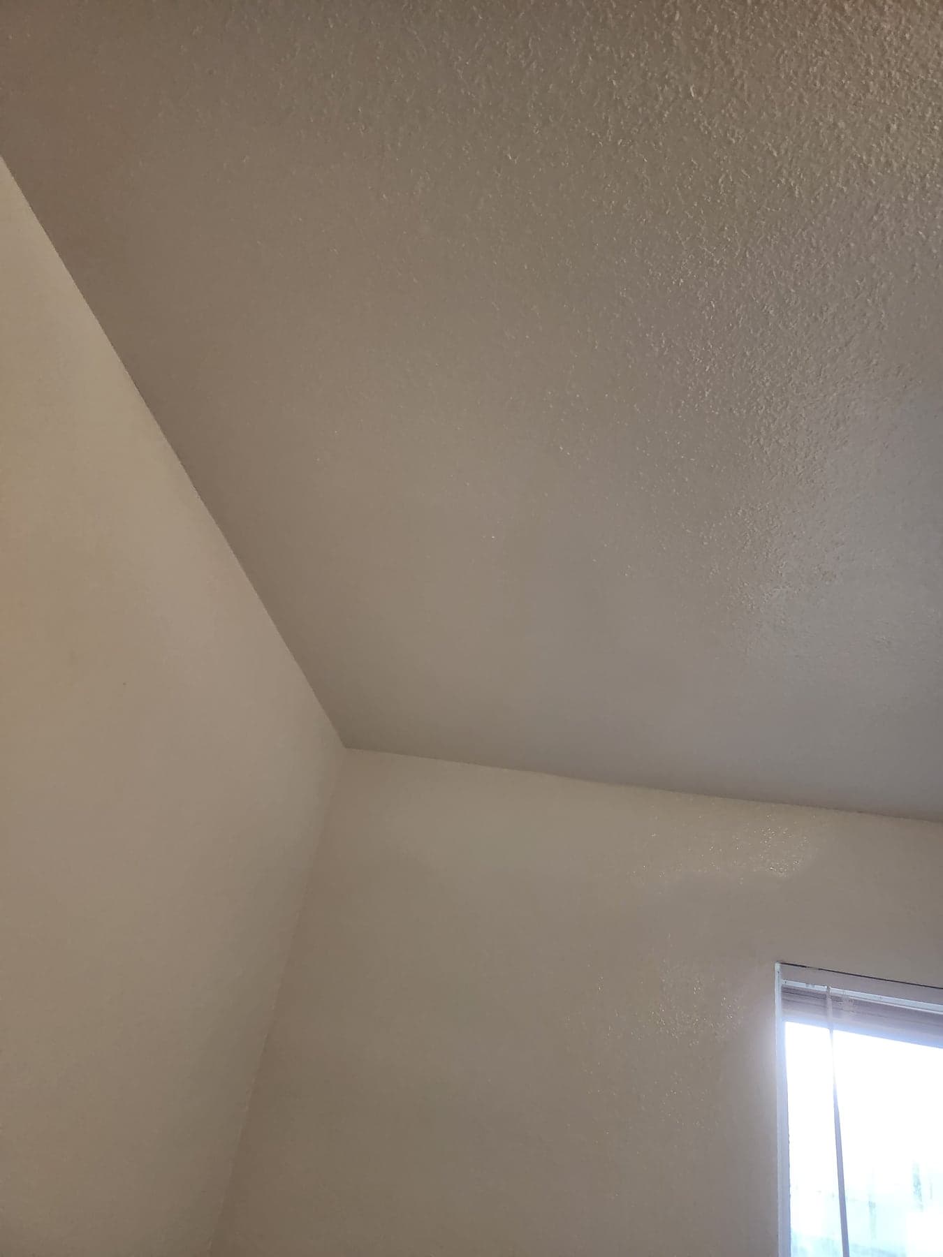 Finished ceiling drywall repair prepared for paint