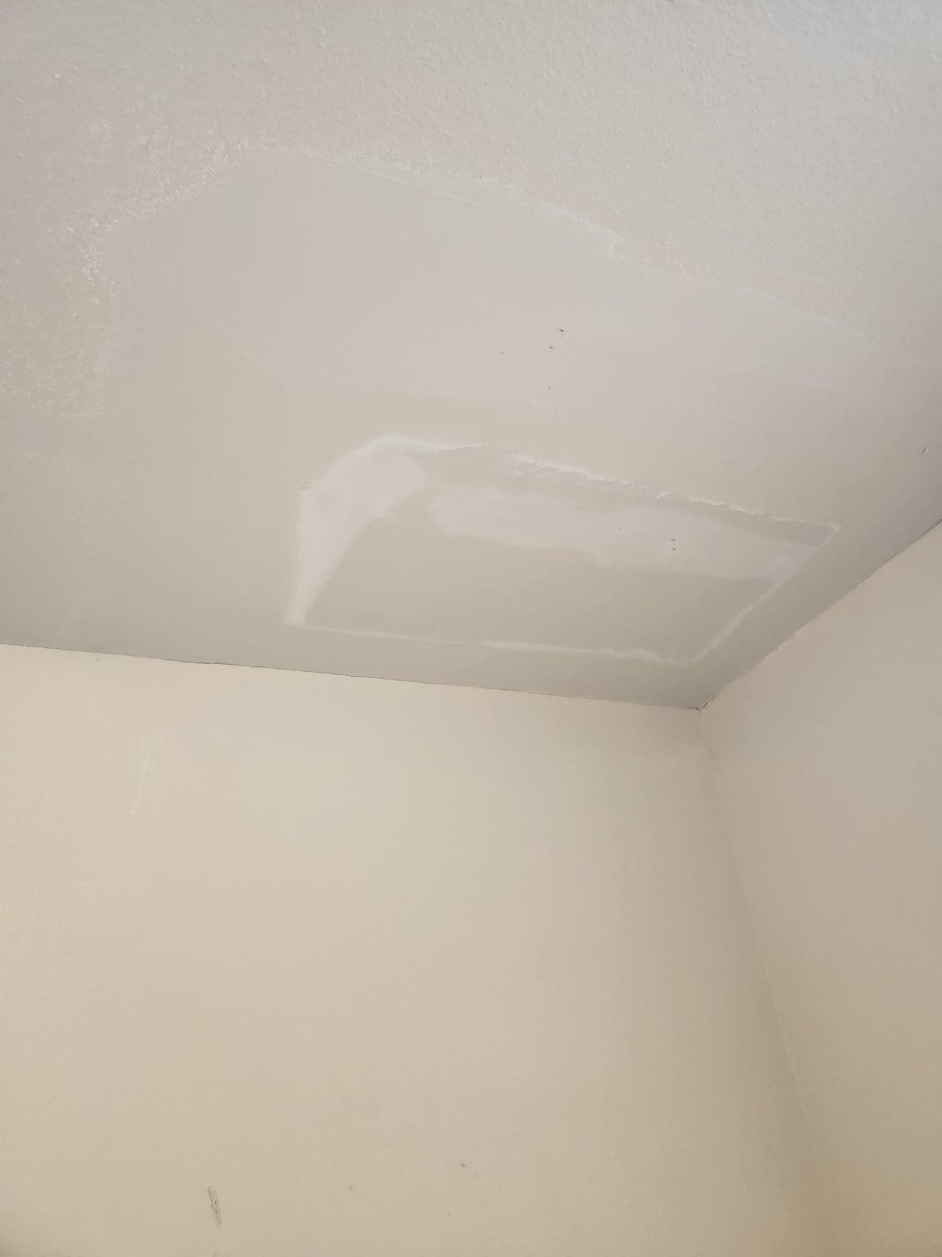 Ceiling drywall patch in progress